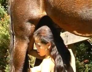 Худая брюнетка с большим жеребцом трахнулась