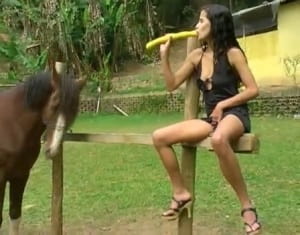 Зоофилка натянулась жопой на тугой член коня