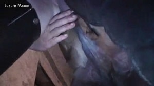 Грязная телка играет в зоо секс с поником