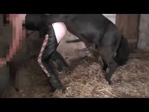 Пони ебет домохозяйку и получает удовольствие